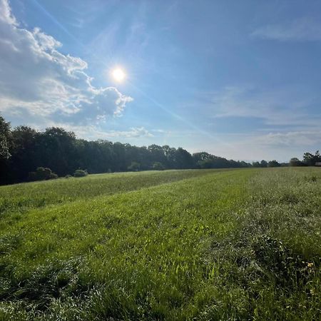 Tinyhaus #1 Huelben - Ortsrand - Kostenlose Parkplaetze Hulben 외부 사진