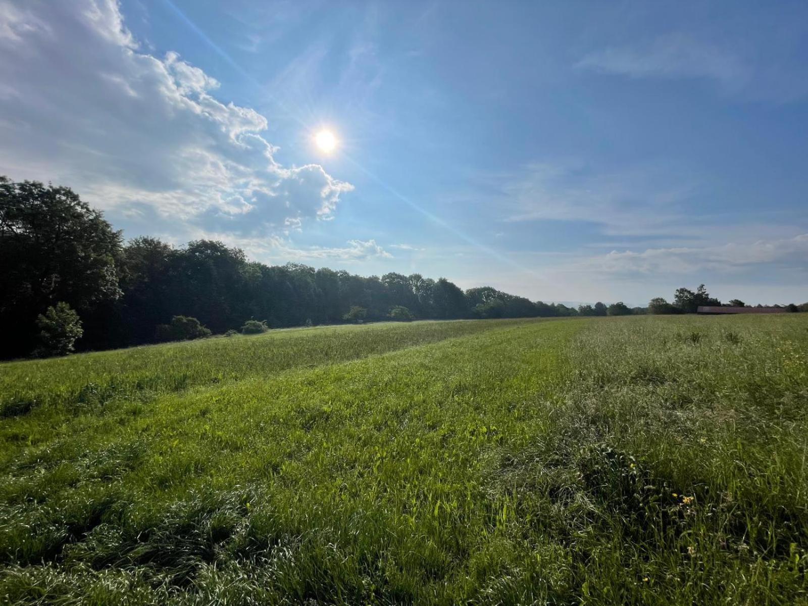 Tinyhaus #1 Huelben - Ortsrand - Kostenlose Parkplaetze Hulben 외부 사진